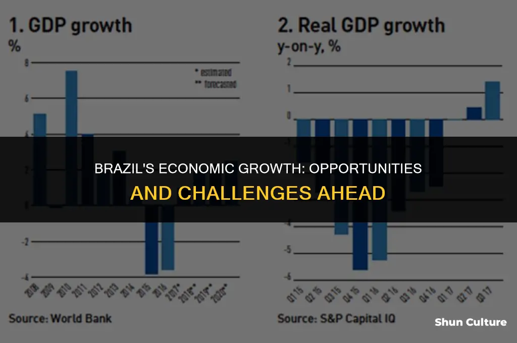 is brazil a growing economy