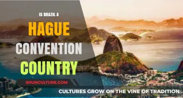 Is Brazil a Hague Convention Country? Understanding International Legal Status