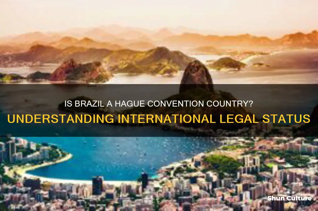 is brazil a hague convention country