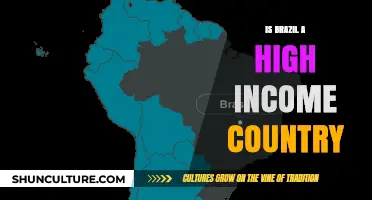 Is Brazil a High-Income Country? Exploring Its Economic Status