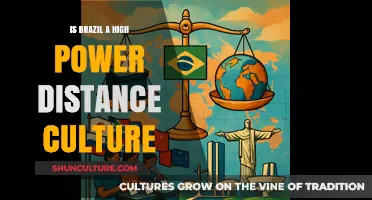 Exploring Power Dynamics: Brazil's Cultural Landscape Unveiled