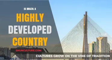 Is Brazil a Highly Developed Country? Exploring Its Economic and Social Progress
