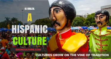 Exploring Brazil's Cultural Identity: Hispanic or Not?