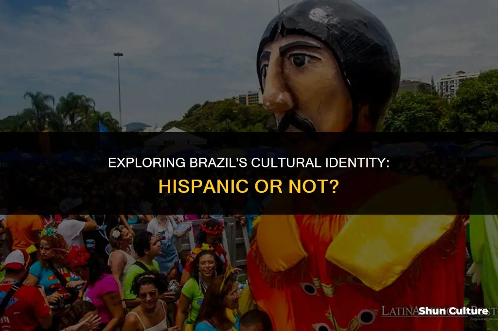 is brazil a hispanic culture