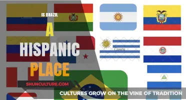 Exploring Brazil's Cultural Identity: Hispanic Influences and Beyond