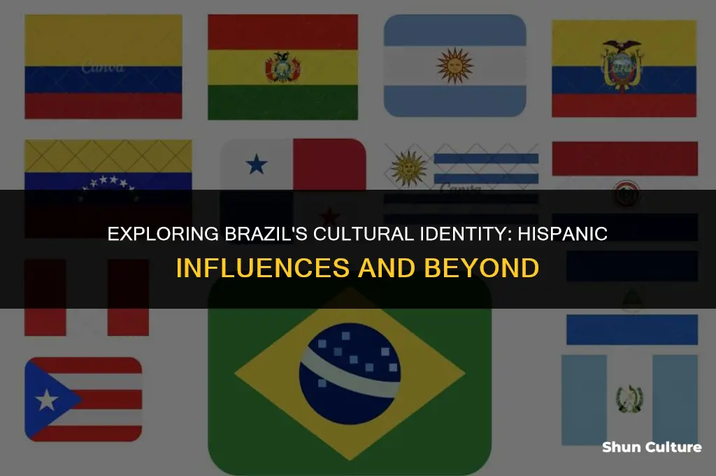 is brazil a hispanic place