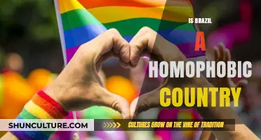 Brazil's LGBTQ+ Reality: Homophobia, Acceptance, and Cultural Shifts Explored
