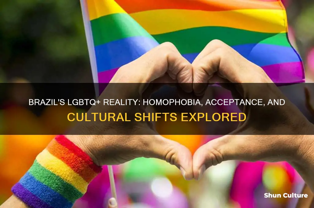 is brazil a homophobic country