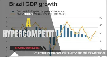 Brazil's Economic Rise: Hypercompetitor or Emerging Power?