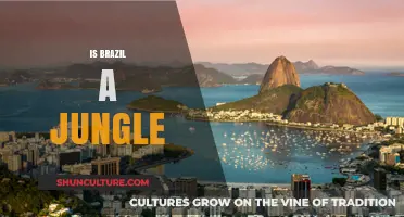 Exploring Brazil: Beyond the Stereotypes of a Jungle Nation