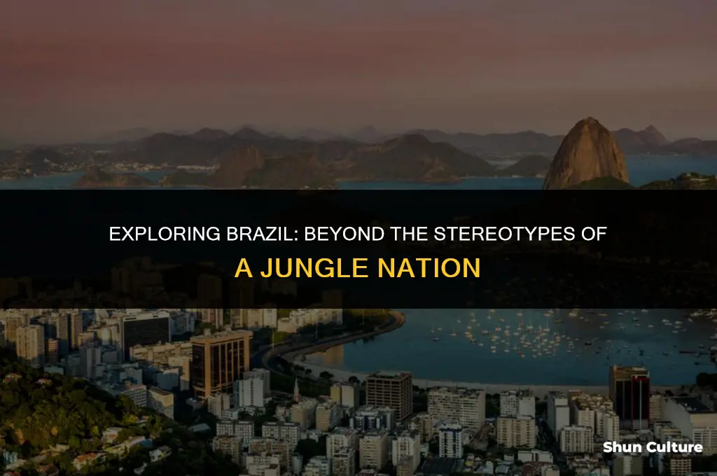 is brazil a jungle