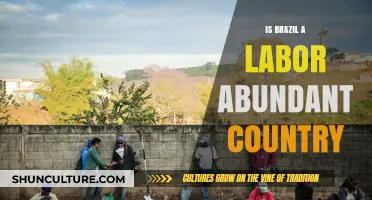 Brazil's Workforce: Exploring Labor Abundance in a Diverse Economy