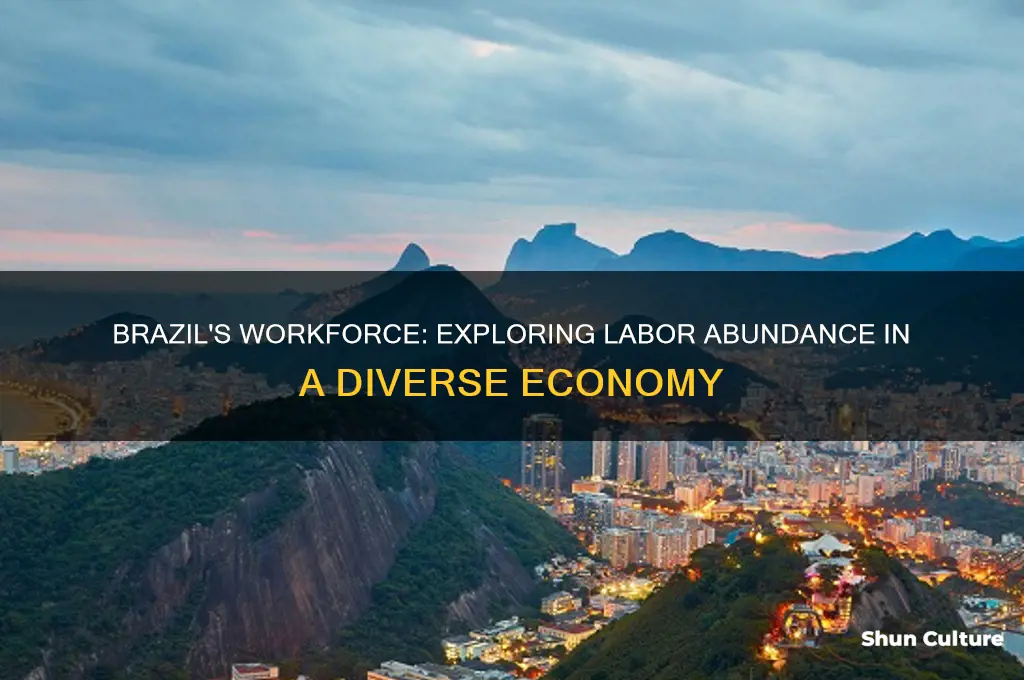 is brazil a labor abundant country