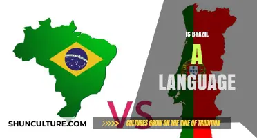 Exploring the Myth: Is Brazilian Portuguese a Separate Language?