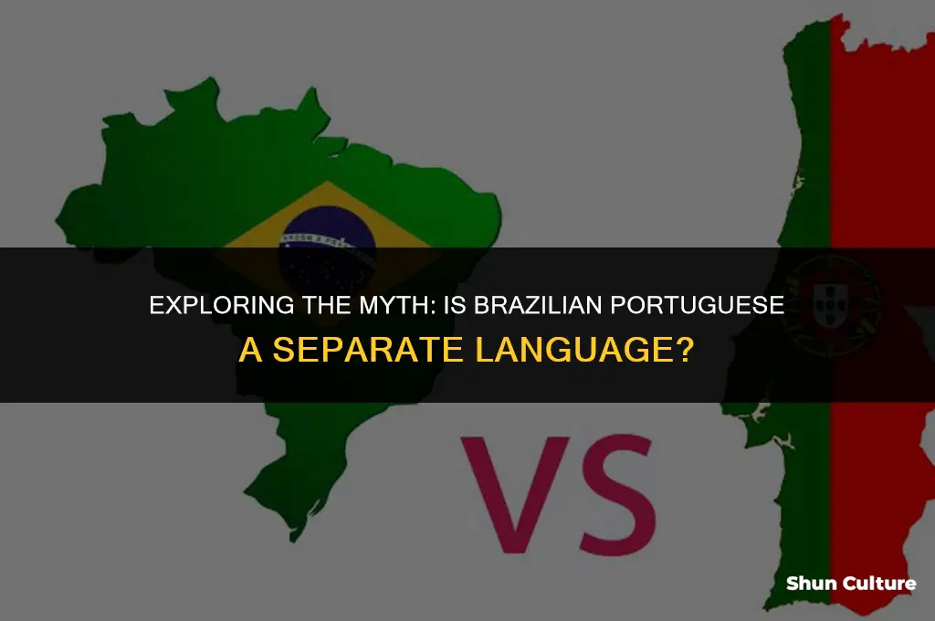 is brazil a language