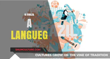 Exploring Brazil's Linguistic Landscape: Beyond Portuguese