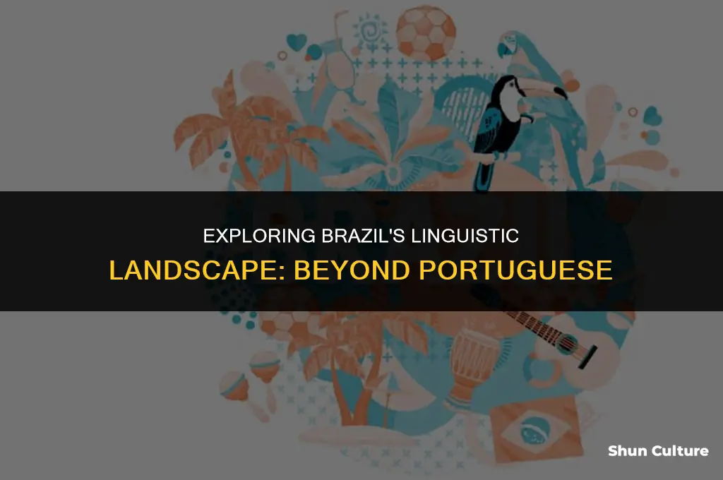 is brazil a langueg