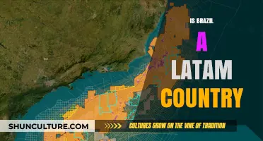 Is Brazil a LATAM Country? Exploring Its Regional Classification