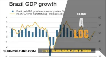 Exploring Brazil's Economic Status: Is It a Least Developed Country?
