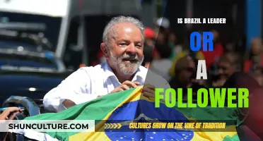 Brazil's Global Role: Leader or Follower in the Modern World?