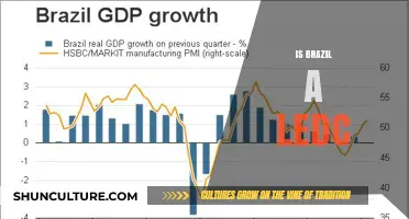 Exploring Brazil's Economic Status: LEDC or Not?