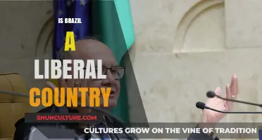 Is Brazil Truly Liberal? Exploring Its Political and Social Landscape