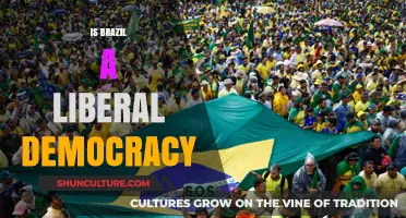 Exploring Brazil's Political Landscape: A Liberal Democracy in Question