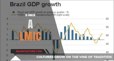 Exploring Brazil's Economic Status: Is It a Lower-Middle-Income Country?