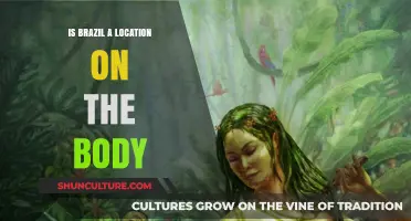 Exploring Anatomical Myths: Is Brazil Really a Location on the Body?