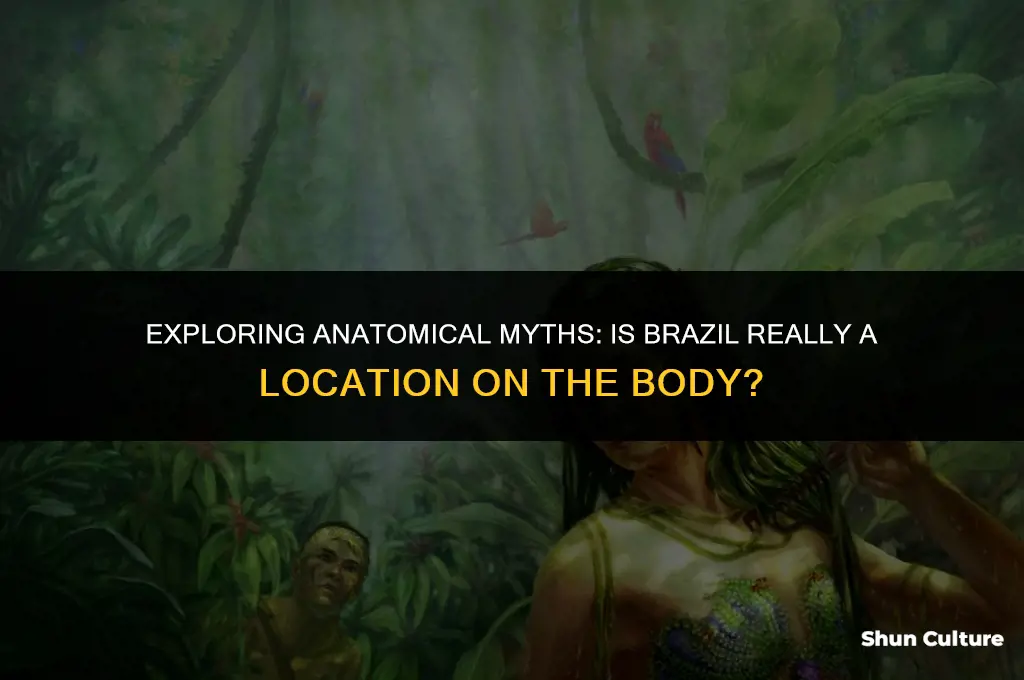 is brazil a location on the body