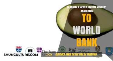 Is Brazil a Lower-Income Country? World Bank Classification Explained