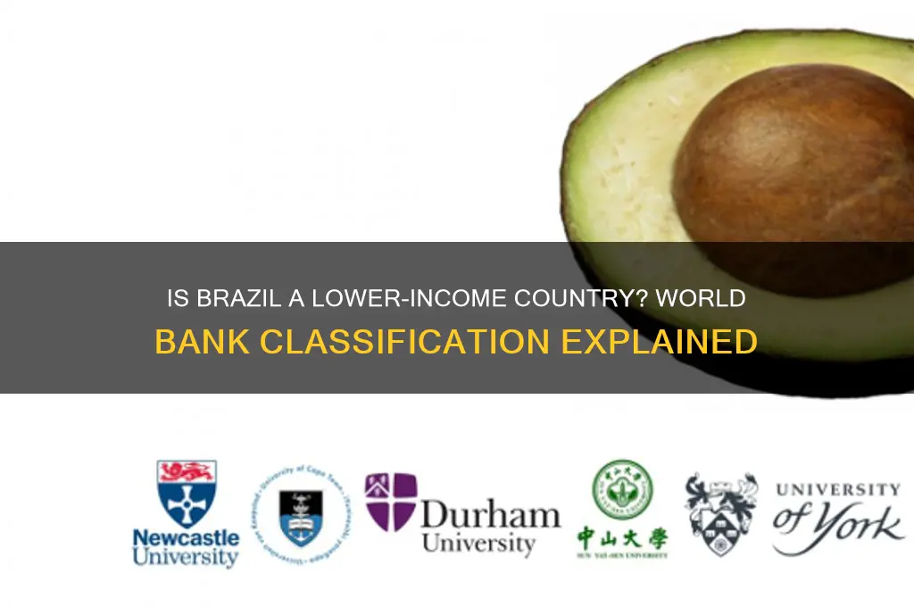 is brazil a lower income country accroding to world bank