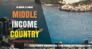 Is Brazil a Lower Middle Income Country? Exploring Its Economic Status