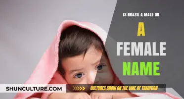 Exploring Gender Neutrality: Is Brazil a Unisex Name?