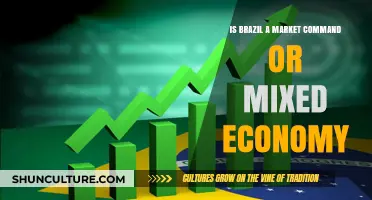 Exploring Brazil's Economic Landscape: Market Command or Mixed Economy?