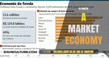Exploring Brazil's Economic Landscape: A Market Economy Analysis