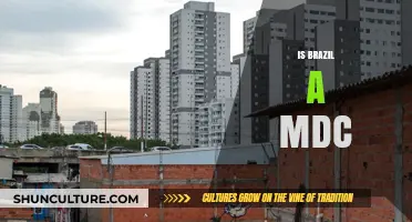 Exploring Brazil's Economic Status: Is It a Middle-Income Country?