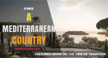 Is Brazil a Mediterranean Country? Exploring Geography and Cultural Connections