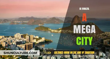 Exploring Brazil's Urban Landscape: Is It a Mega City?