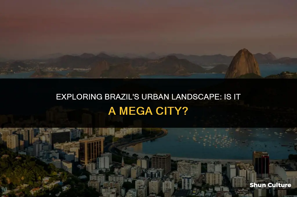 is brazil a mega city