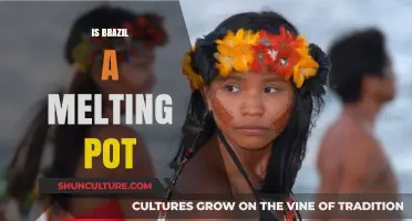 Cultural Fusion in Brazil: A Melting Pot of Diversity
