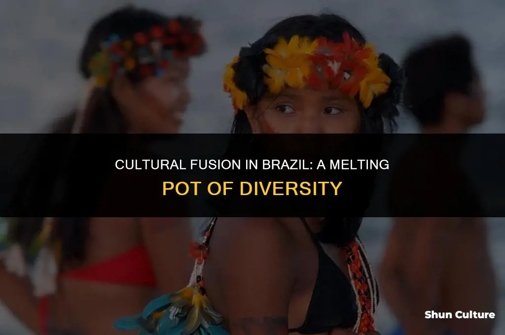 is brazil a melting pot