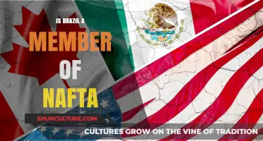 Exploring Brazil's Relationship with NAFTA: A Comprehensive Analysis