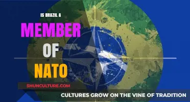 Brazil's NATO Membership: A Comprehensive Analysis