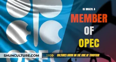 Brazil's OPEC Membership: A Closer Look at the Facts