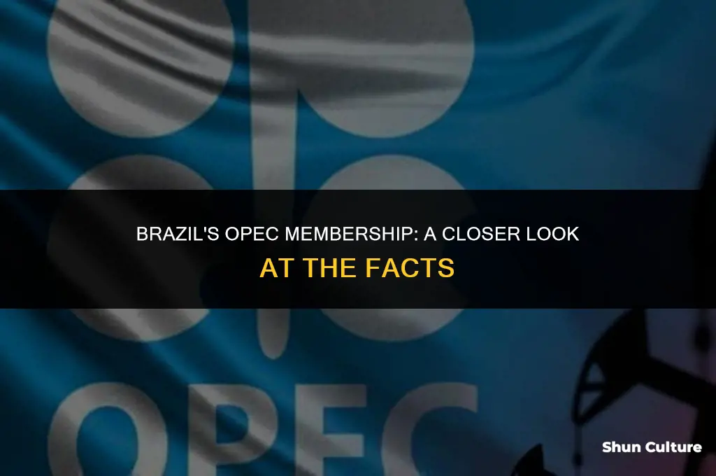 is brazil a member of opec