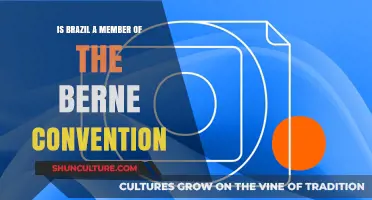 Brazil's Stand on the Berne Convention: A Comprehensive Overview