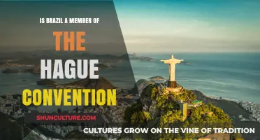 Brazil and the Hague Convention: A Comprehensive Overview