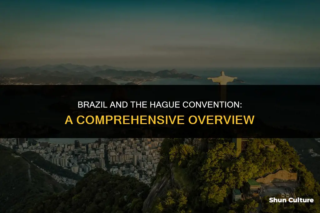 is brazil a member of the hague convention