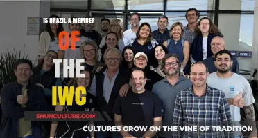 Brazil's Commitment to Whale Conservation: IWC Membership Explained